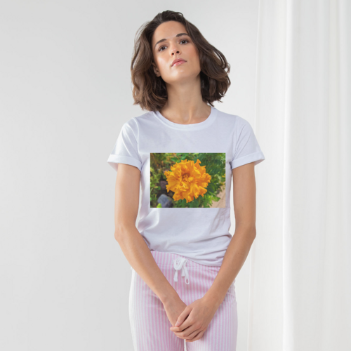 OrangeFlower Women's Long Pant Pyjama Set